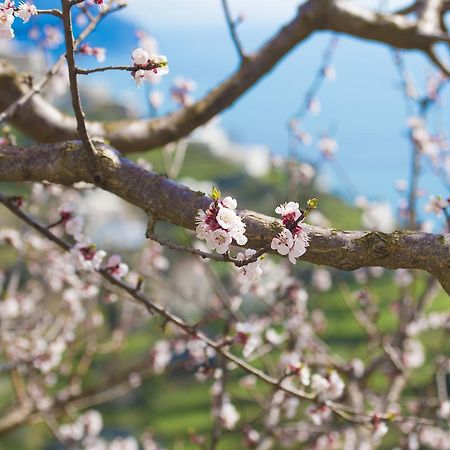 Casa Pina Lejlighed Amalfi Eksteriør billede