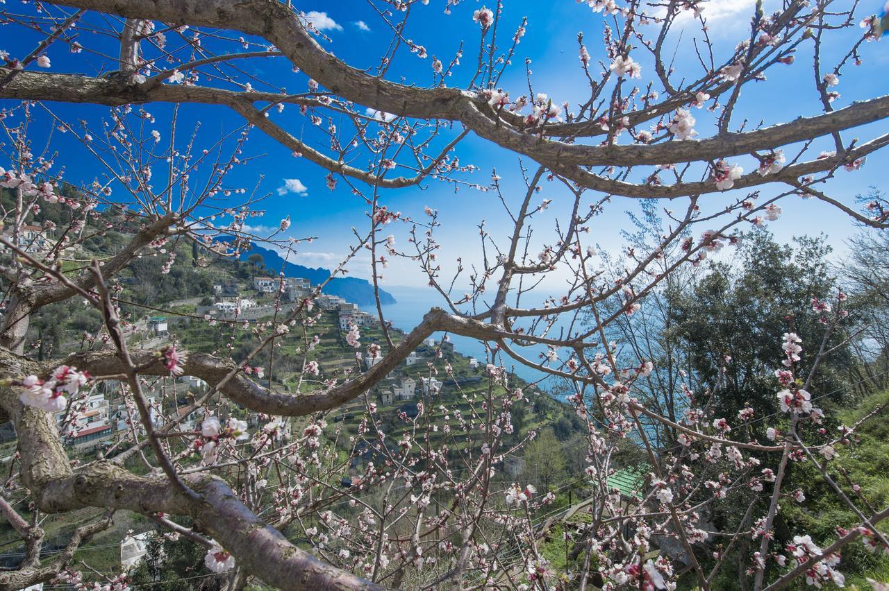 Casa Pina Lejlighed Amalfi Eksteriør billede