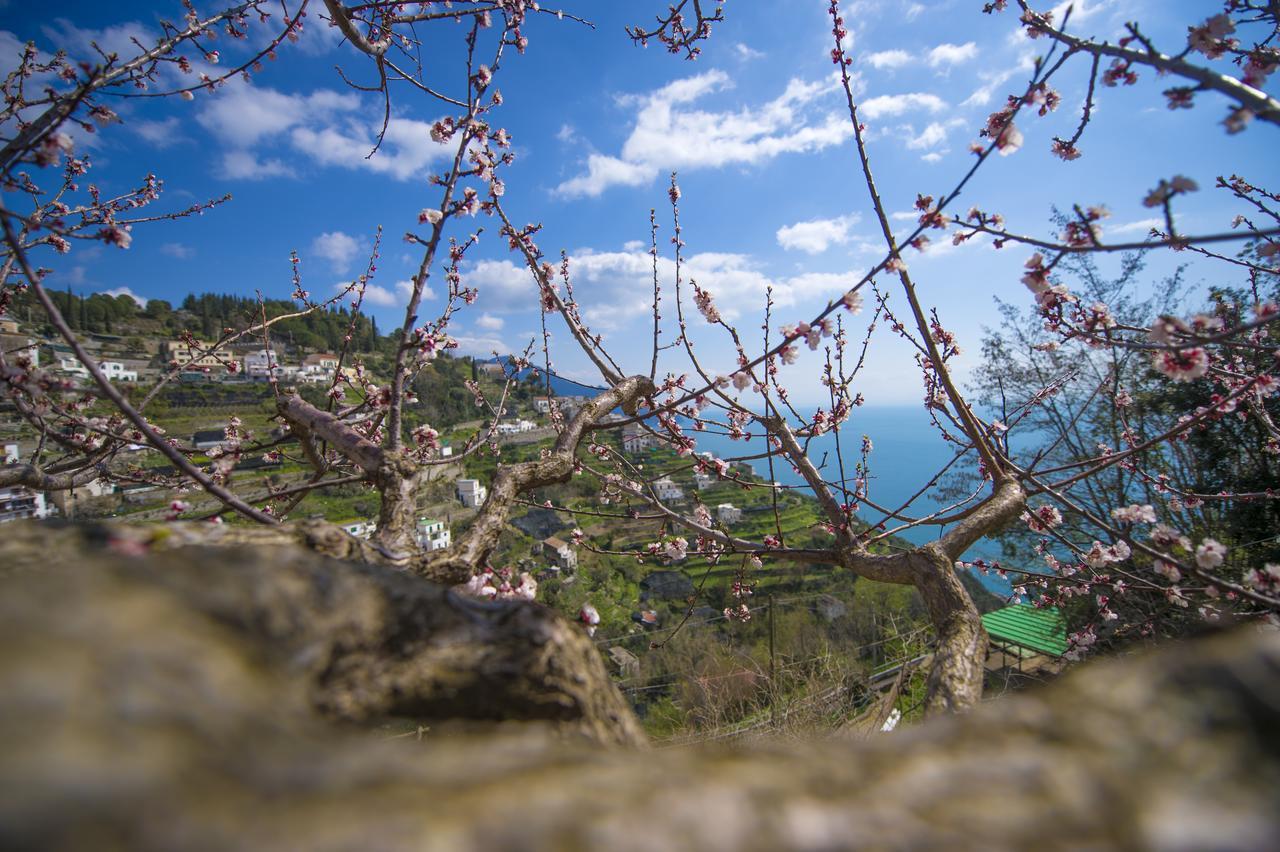 Casa Pina Lejlighed Amalfi Eksteriør billede
